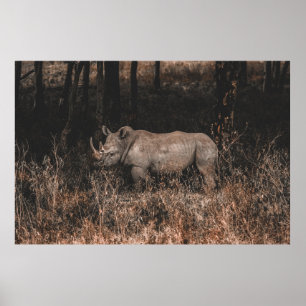 POSTER RHINO
