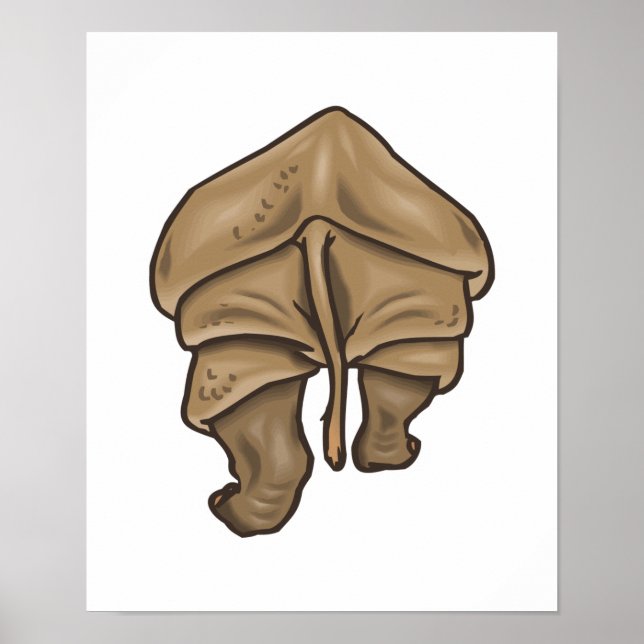 Poster rhino bumbum (Frente)