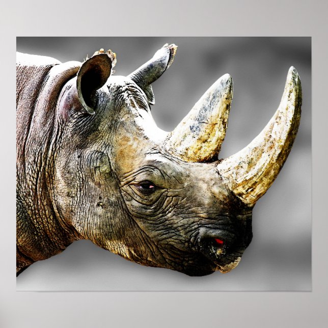 Poster Rhino Head, pintura de fundo de Cinza (Frente)