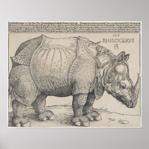 POSTER RHINOCERUS DE 1515 DURER
