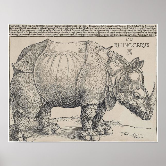POSTER RHINOCERUS DE 1515 DURER (Frente)