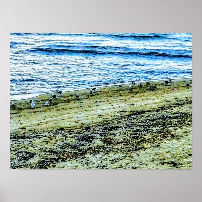 Poster Rhode Island Beach Landscape Photo (Frente)
