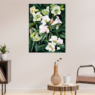 Poster Rhododendrons do Norte da Índia