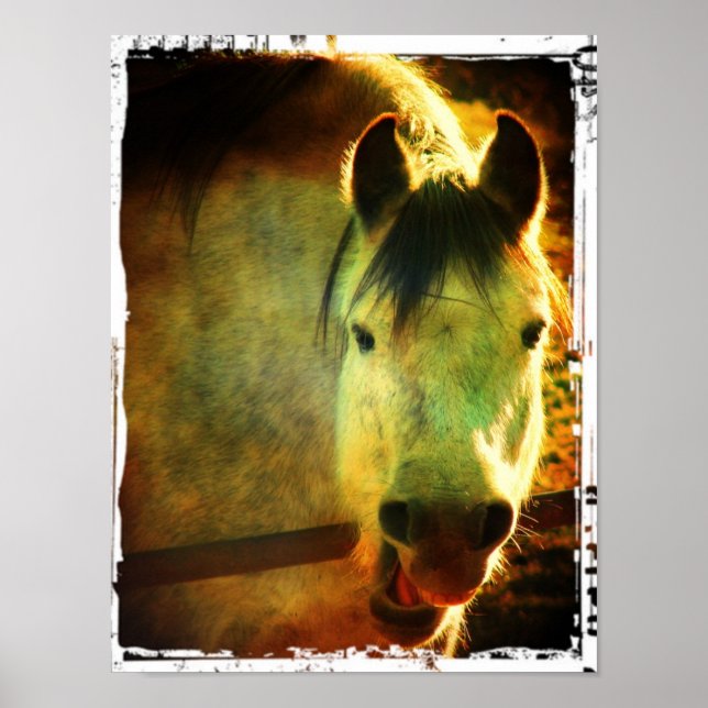 Póster Ria (Frente)