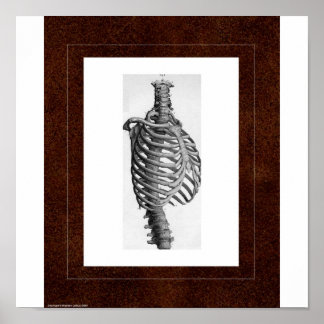 Póster Rib Spirit House