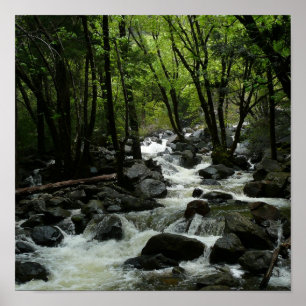 Poster Ribeiro Bridalveil no Parque Nacional de Yosemite