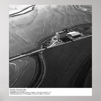 Póster Rice Fields, Sacramento Valley, por Ansel Adams
