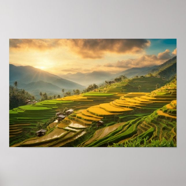 Poster Rice Terraces Sunrise (Frente)