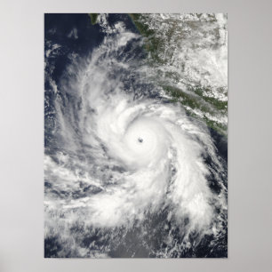 Póster Rick do furacão