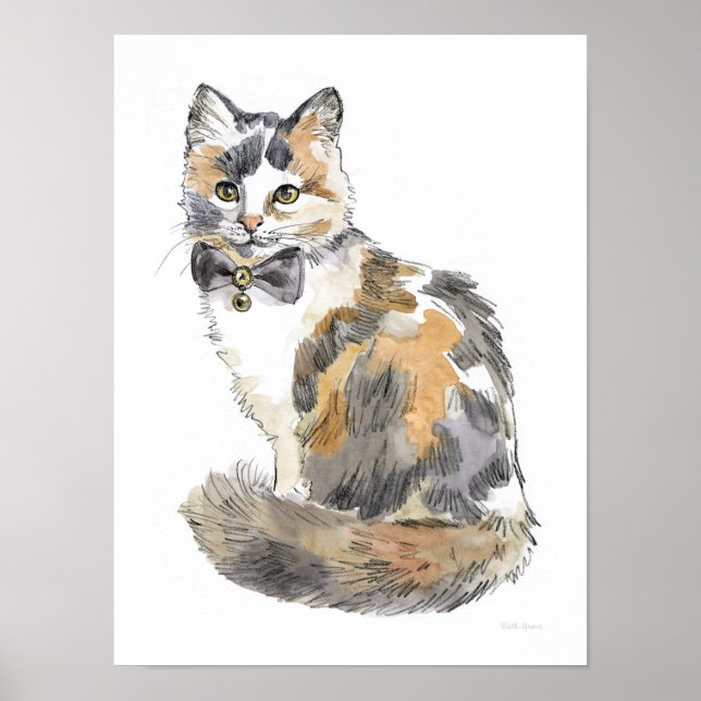 Poster Rico Calico Cat (Frente)