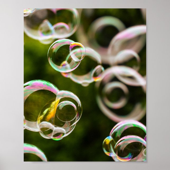 Poster rico de bolhas (Frente)