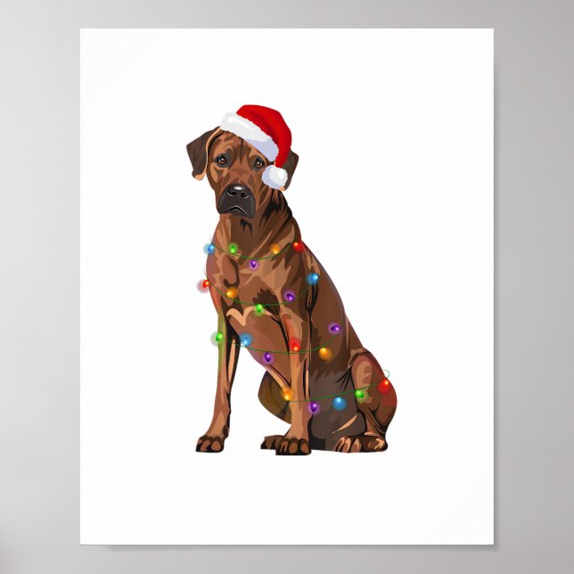 Poster Ridgeback Ridgeback Natal Luzes Xmas Cão Amor (Frente)