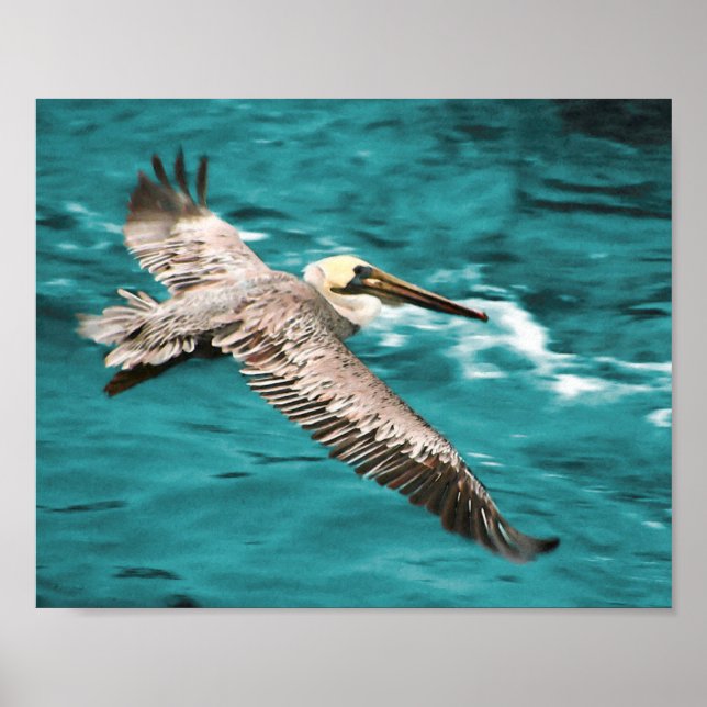 POSTER RIDOR DE VENTO PELICAN (Frente)