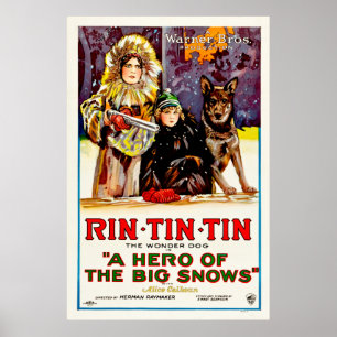 Póster Rin Tin Tin - O Cão Maravilha