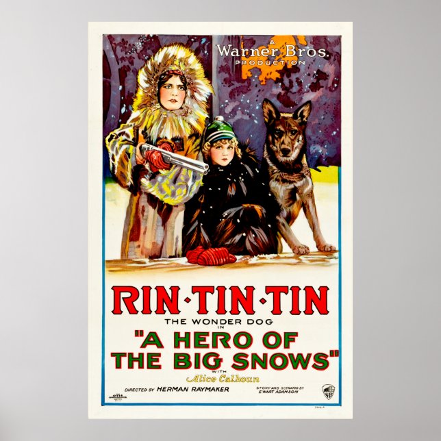 Póster Rin Tin Tin - O Cão Maravilha (Frente)
