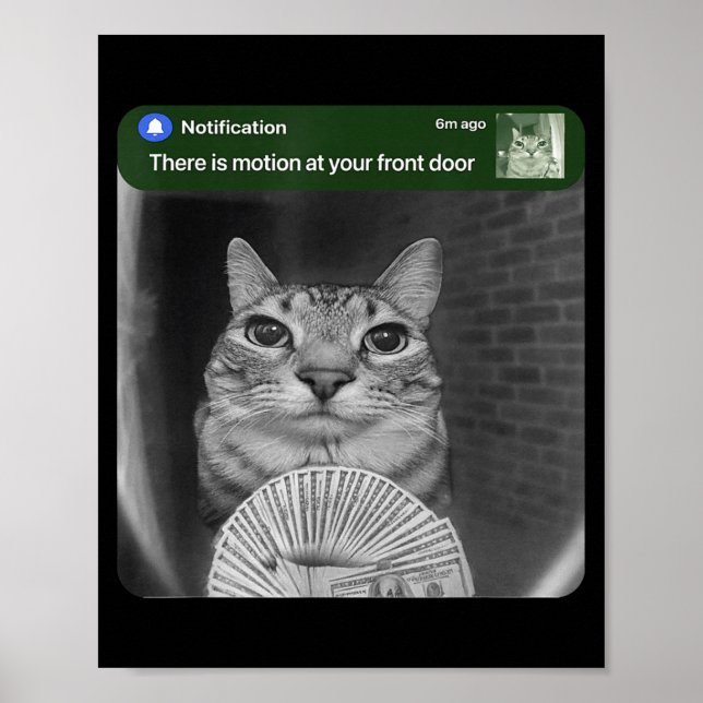 Poster Ring Cat With Motion Meme  (Frente)