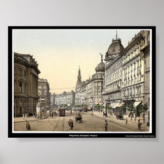 Poster Ring Street, Budapeste, Hungria