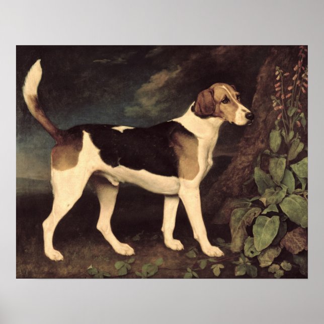 Poster Ringwood, um Brocklesby Foxhound, 1792 (Frente)