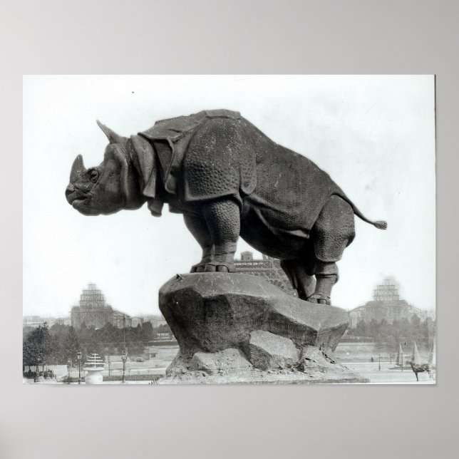 Póster Rinoceronte (Frente)