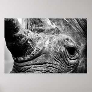 Póster Rinoceronte de B&W