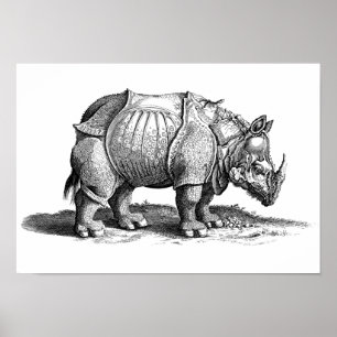 Poster Rinoceronte do vintage - o rinoceronte de Dürer