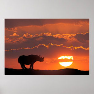 Póster Rinoceronte no por do sol, Masai Mara, Kenya