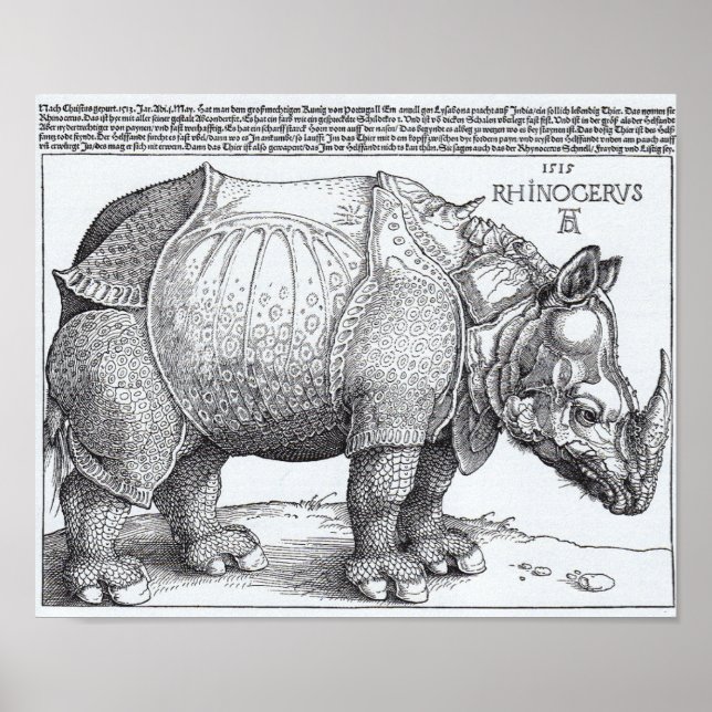 Poster Rinocerontes de Dürer (Frente)