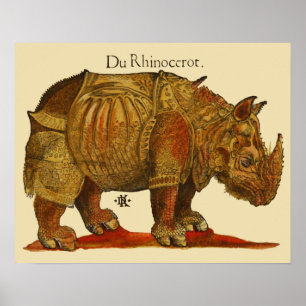Póster Rinocerontes Rinocerontes de Vintage Rhino Durer A