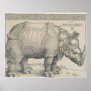 Poster Rinocerontes, Woodcut por Albrecht Durer