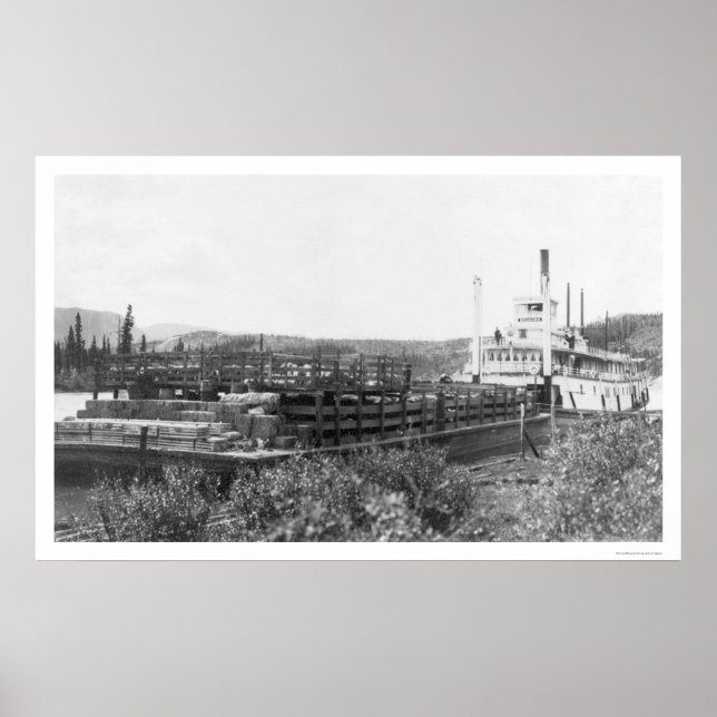 Poster Rio Cattle Barge Yukon 1914 (Frente)