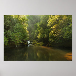 Póster Rio Chattooga no amanhecer