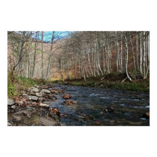 Póster Rio da Montanha no Outono – Natureza Selvagem Romê