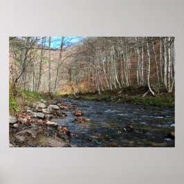 Poster Rio da Montanha no Outono – Romênia Natureza Selva