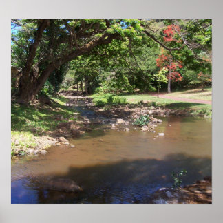 Poster Rio da Serenidade