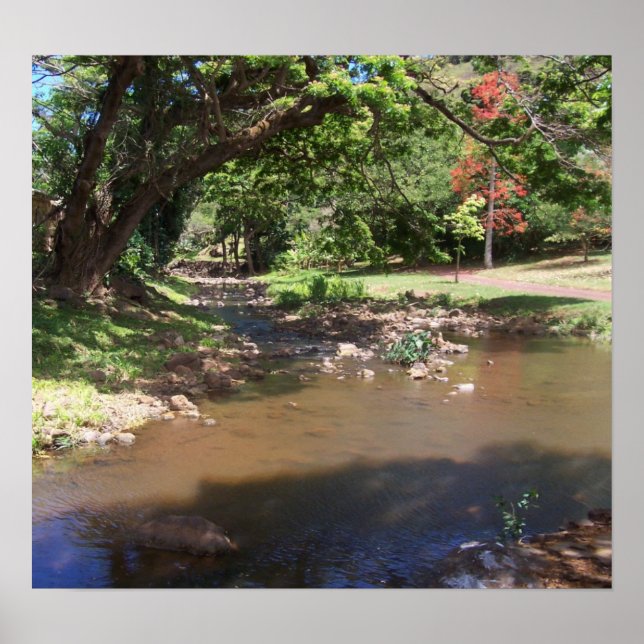 Poster Rio da Serenidade (Frente)