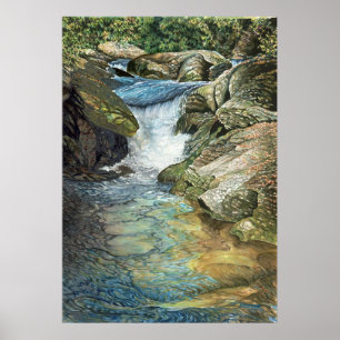 Poster Rio de Chattooga