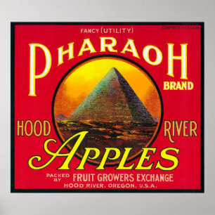 Póster Rio de LabelHood da caixa de Apple do faraó, OU