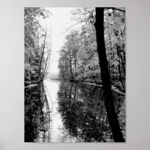 Póster Rio Floresta Negro E Branco