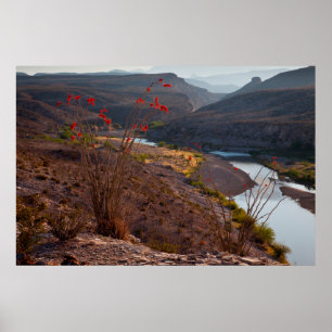 Póster Rio Grande Atravessando o Deserto de Chihuahuan