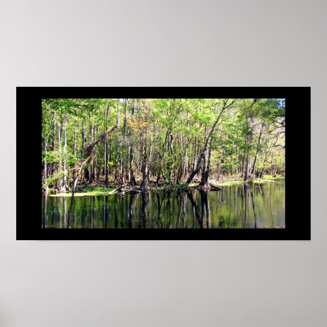 Poster Rio Ichetucknee (Frente)