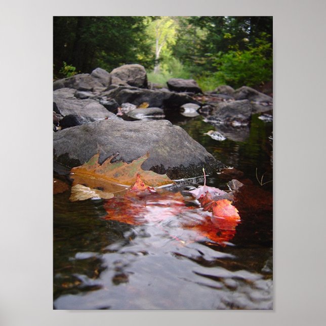 Poster Rio Leaves (Frente)