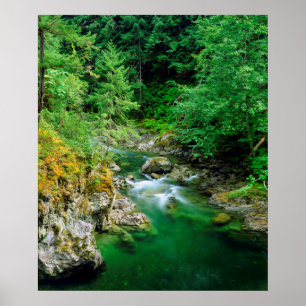 Póster Rio Little Qualicum