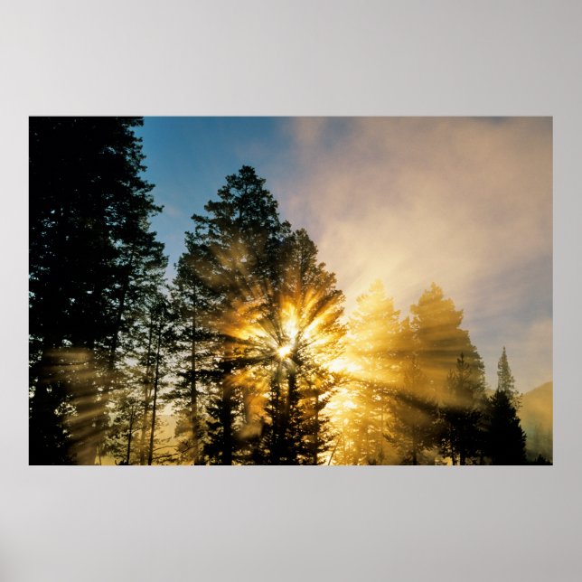 Póster Rio Madison | Parque Nacional de Yellowstone (Frente)