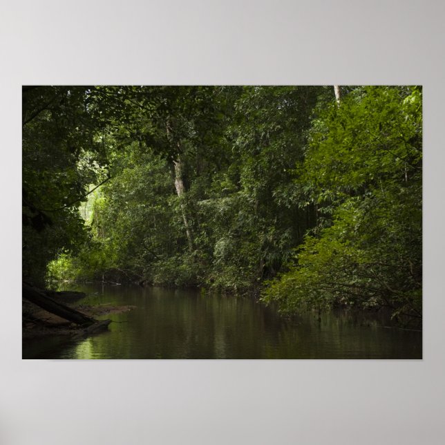 Poster Rio Mapari, Mapari Rupununi, Guiana. (Frente)