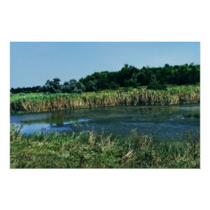 Póster Rio Molochnaya perto de Melitopol. Sul da Ucrânia