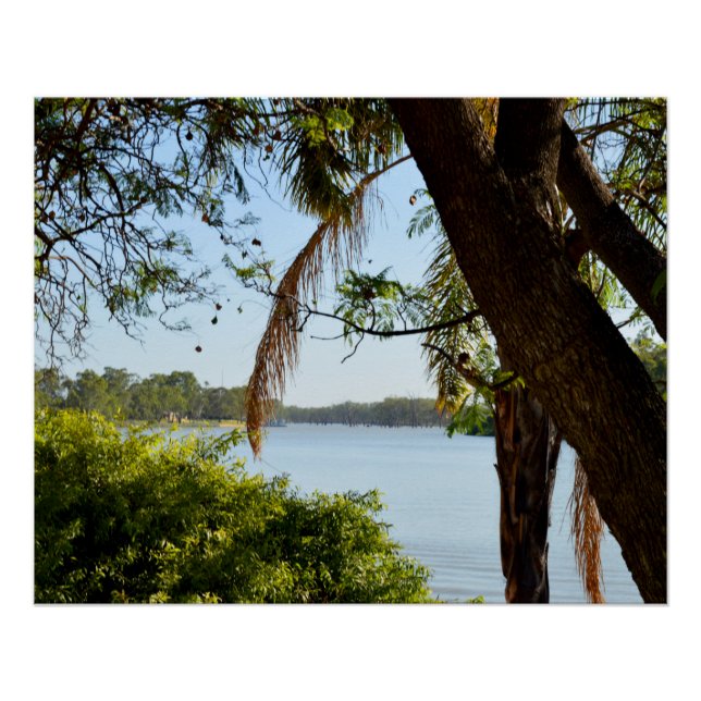 Póster Rio Murray Austrália The View, Poster (Frente)