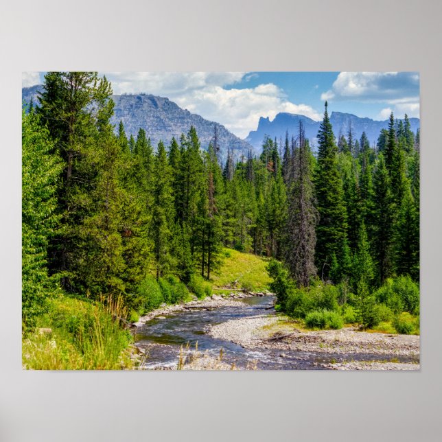 Poster Rio North Fork Shoshone (Frente)