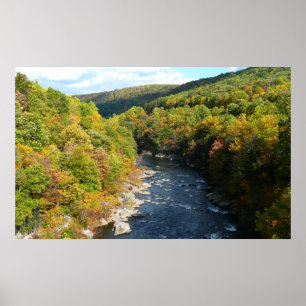 Poster Rio Ohiopyle no outono I, outono, outono na Pensil
