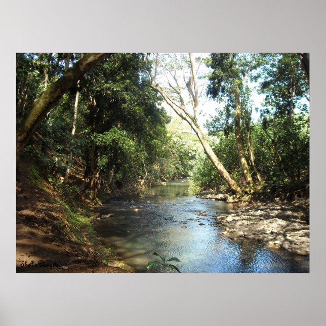 Poster Rio Paz e Tranquilidade (Frente)