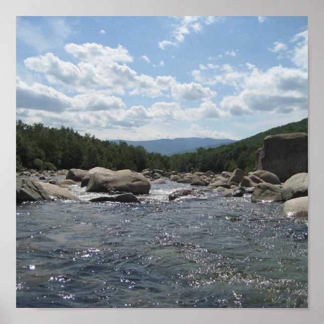 Póster Rio Pemi (Frente)